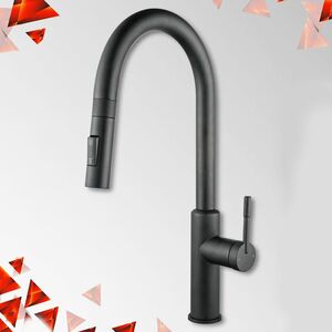 Смеситель для кухни с выдвижным изливом Kern